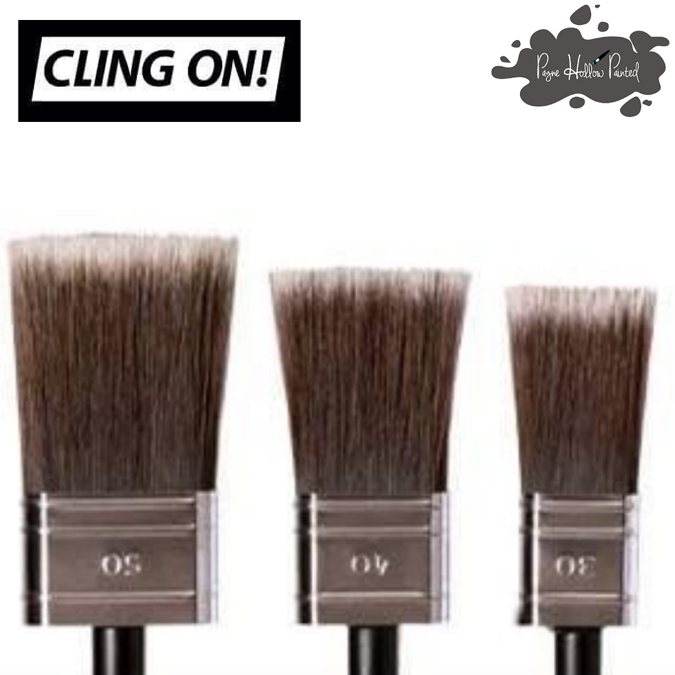 Thumbnail: Cling-On F30 Flat Paint Brush