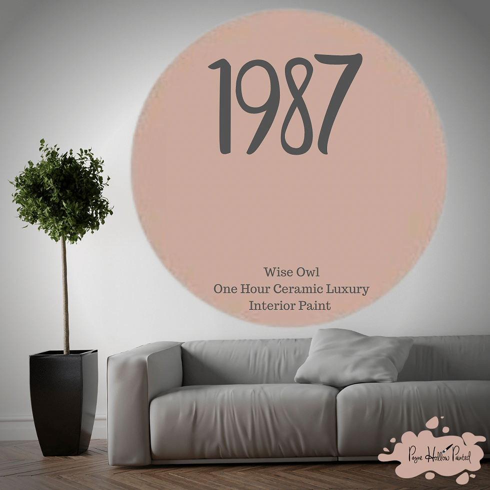 1987 • Wise Owl One Hour Ceramic Luxury Wall Paint