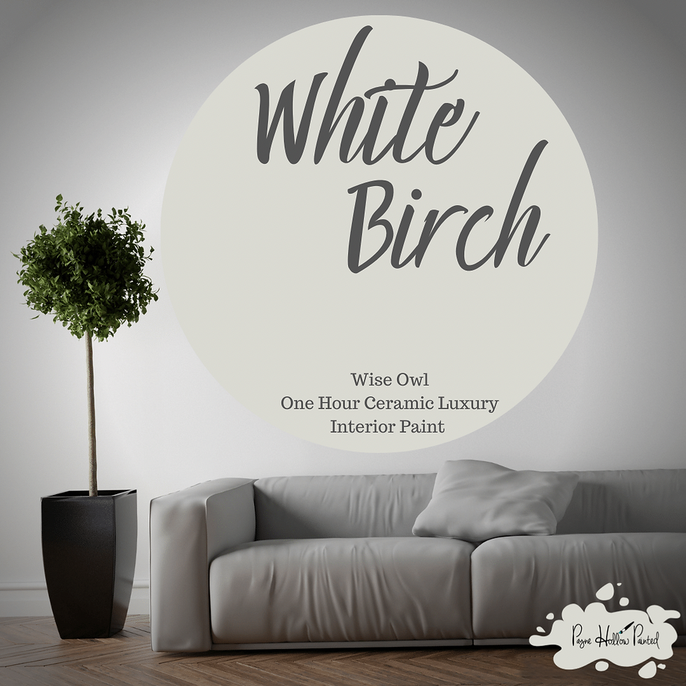 WHITE BIRCH • Wise Owl One Hour Ceramic Luxury Wall Paint
