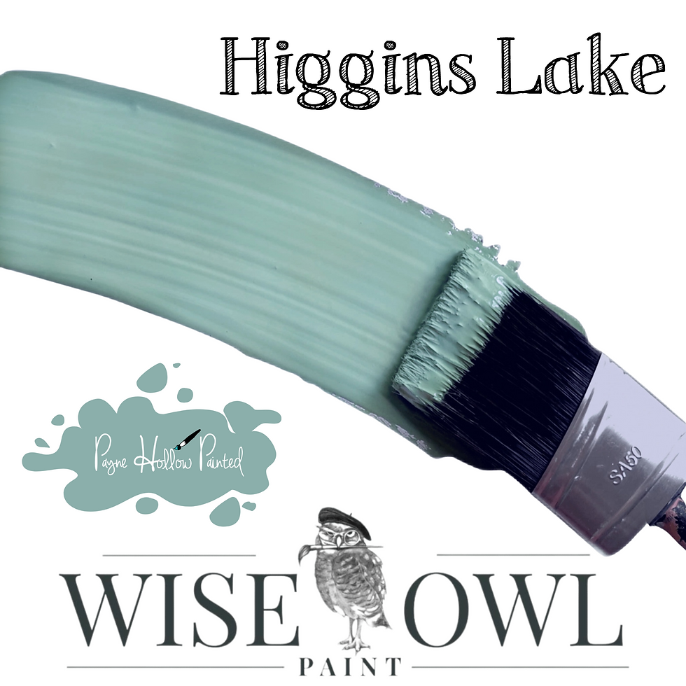 Thumbnail: HIGGINS LAKE • Wise Owl Chalk Synthesis Paint