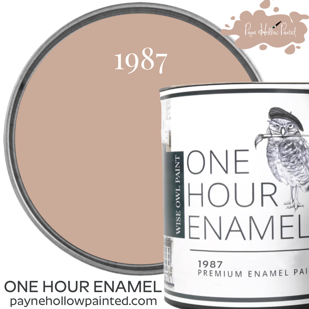 1987 • Wise Owl One Hour Enamel 