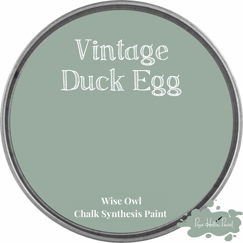 Thumbnail: VINTAGE DUCK EGG • Wise Owl Chalk Synthesis Paint