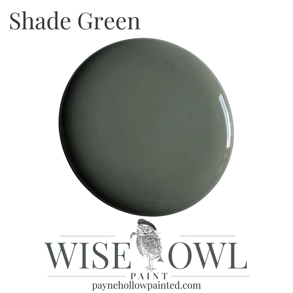 Thumbnail: SHADE GREEN • Wise Owl Chalk Synthesis Paint