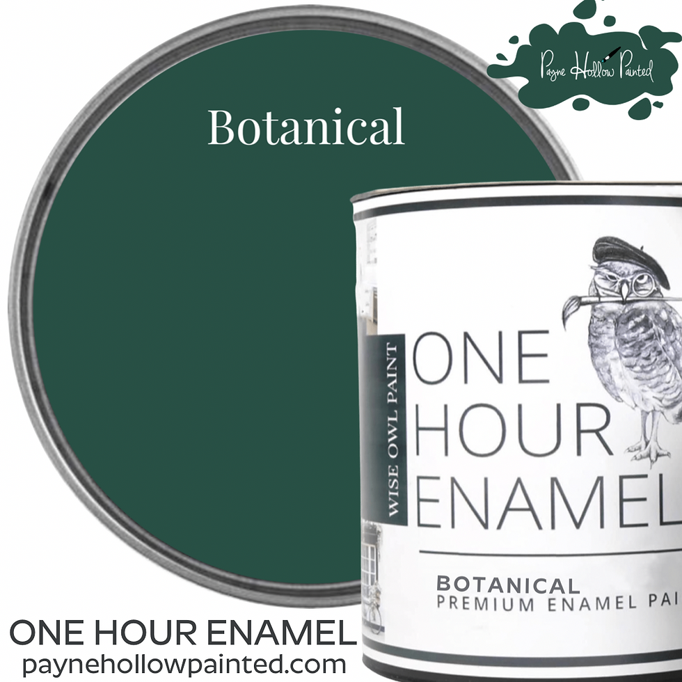 BOTANICAL • Wise Owl One Hour Enamel 