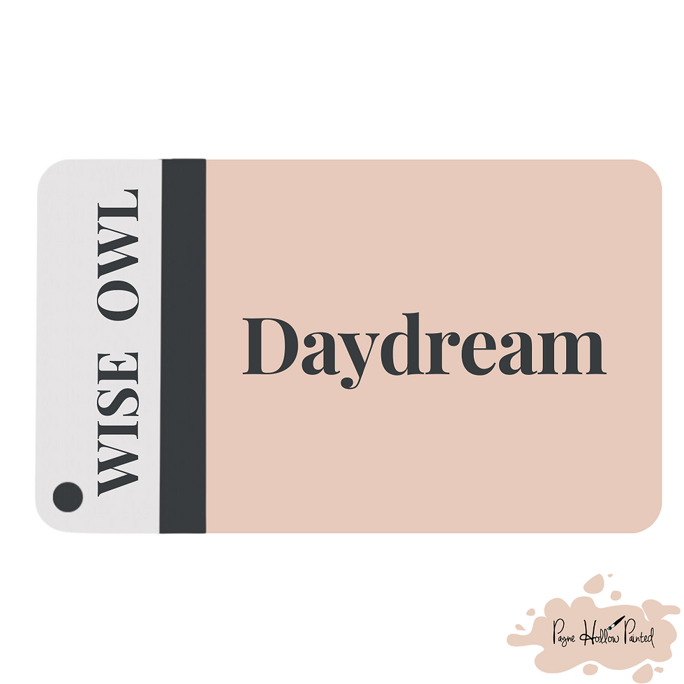 Thumbnail: DAYDREAM • Wise Owl Chalk Synthesis Paint