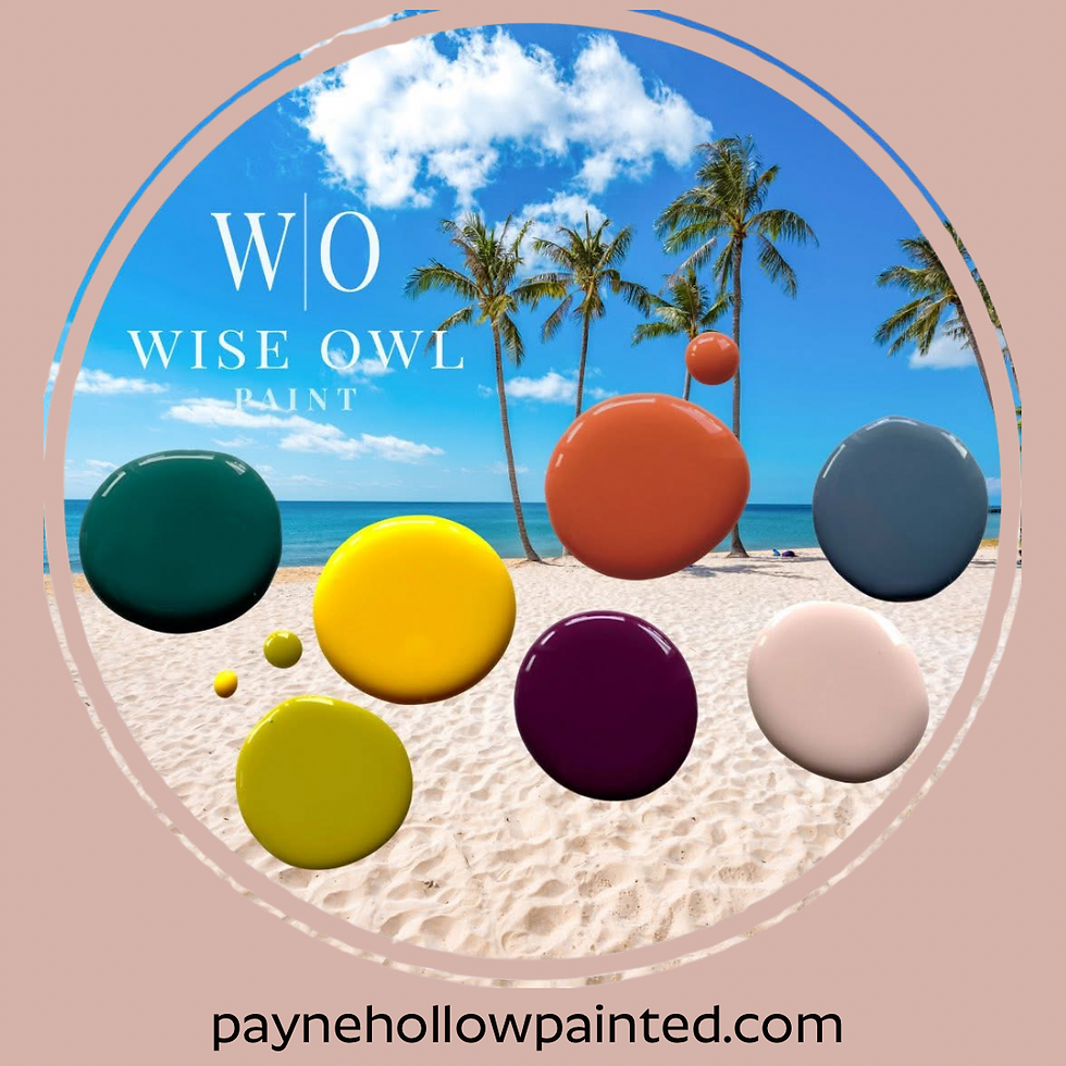 Thumbnail: DAYDREAM • Wise Owl One Hour Enamel