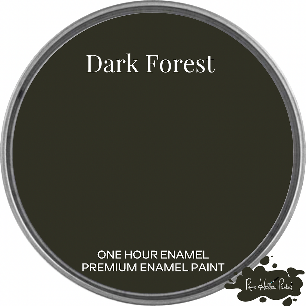 Thumbnail: DARK FOREST • Wise Owl One Hour Enamel