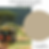 Thumbnail: SAFARI JACKET • Wise Owl One Hour Enamel