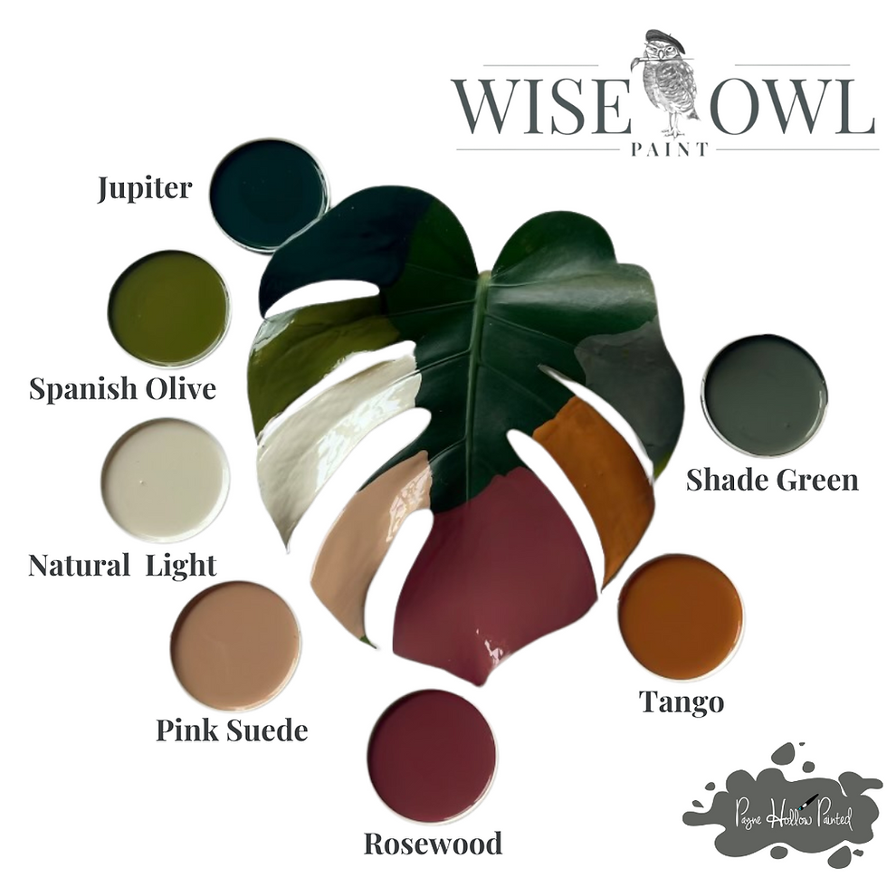 Thumbnail: JUPITER • Wise Owl One Hour Enamel