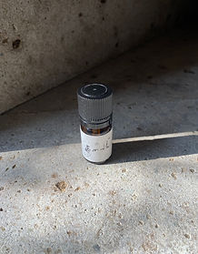 さざれ香 | Prunier