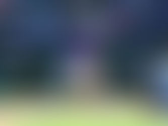 White Sox reclaman al receptor Drew Romo vía waivers