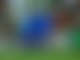 Tigres rugen en Torreón y derrotan a Santos