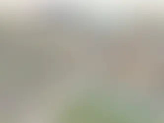 Indiana acelera plan de estadio para seducir a los Bears