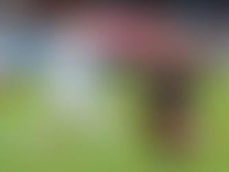 Gregg Berhalter: “Cambiar el campo nos abrió el partido”