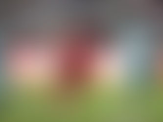 Fire traspasa a Justin Reynolds a Sporting Kansas City