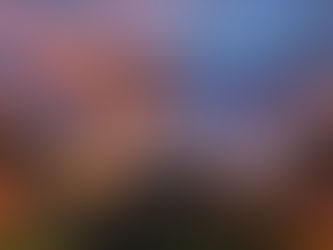 Portage lanza su plan “Halas Harbor” para atraer a los Bears