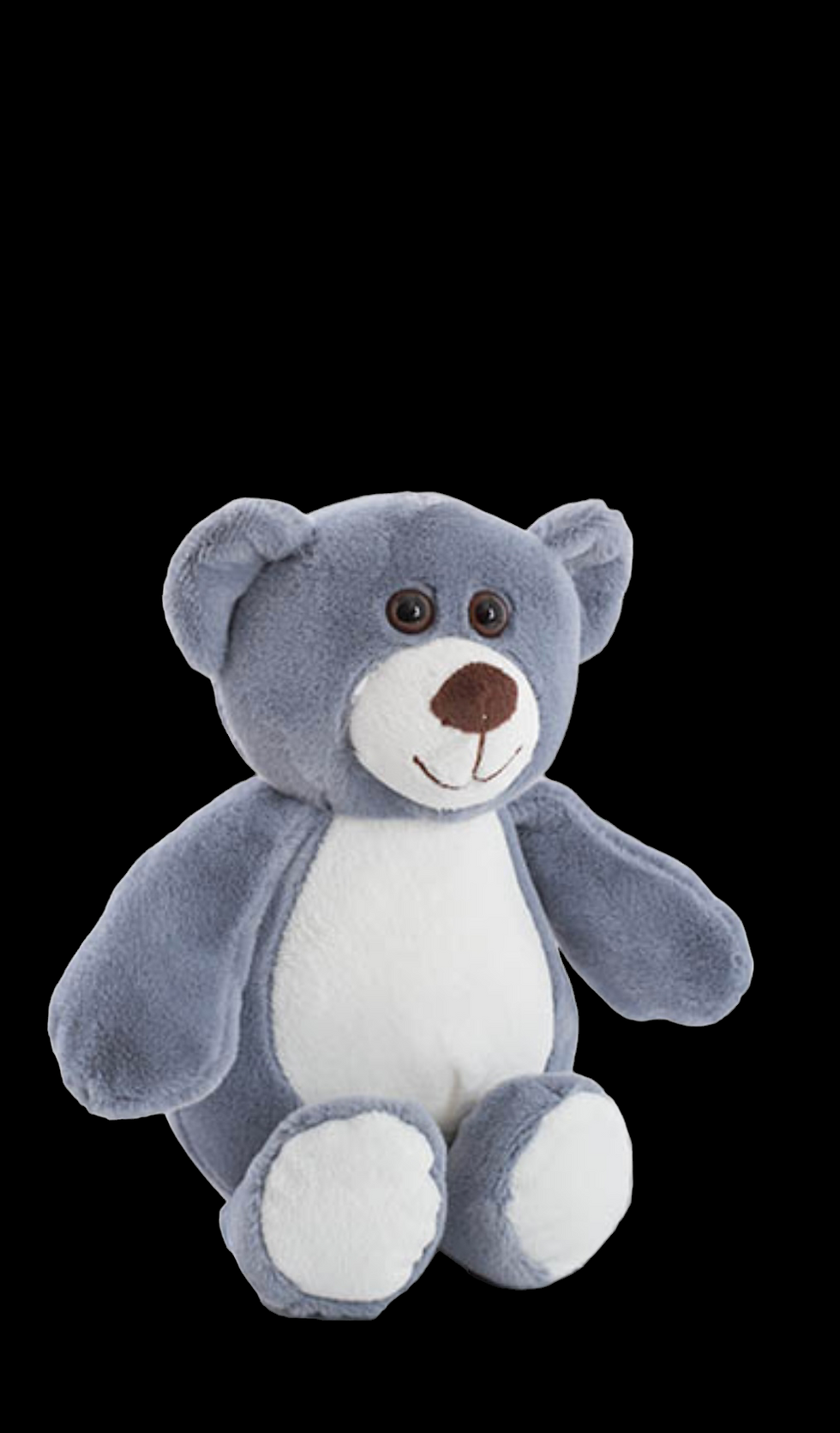 Blue Bear Friend