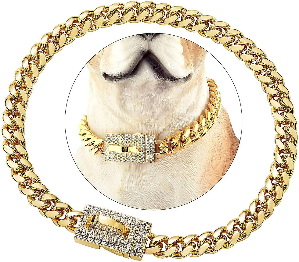 Cuban Link pet collar with Diamante Buckle