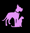 dogs and cats