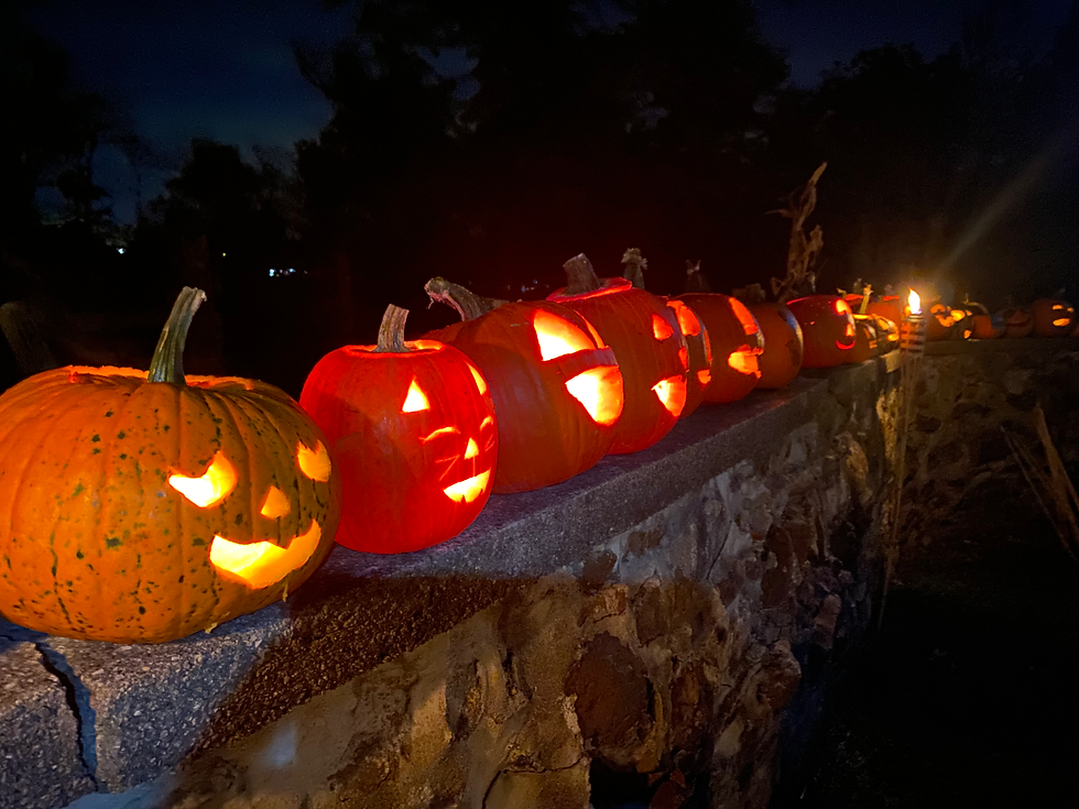 Spooky Ol’ Farm