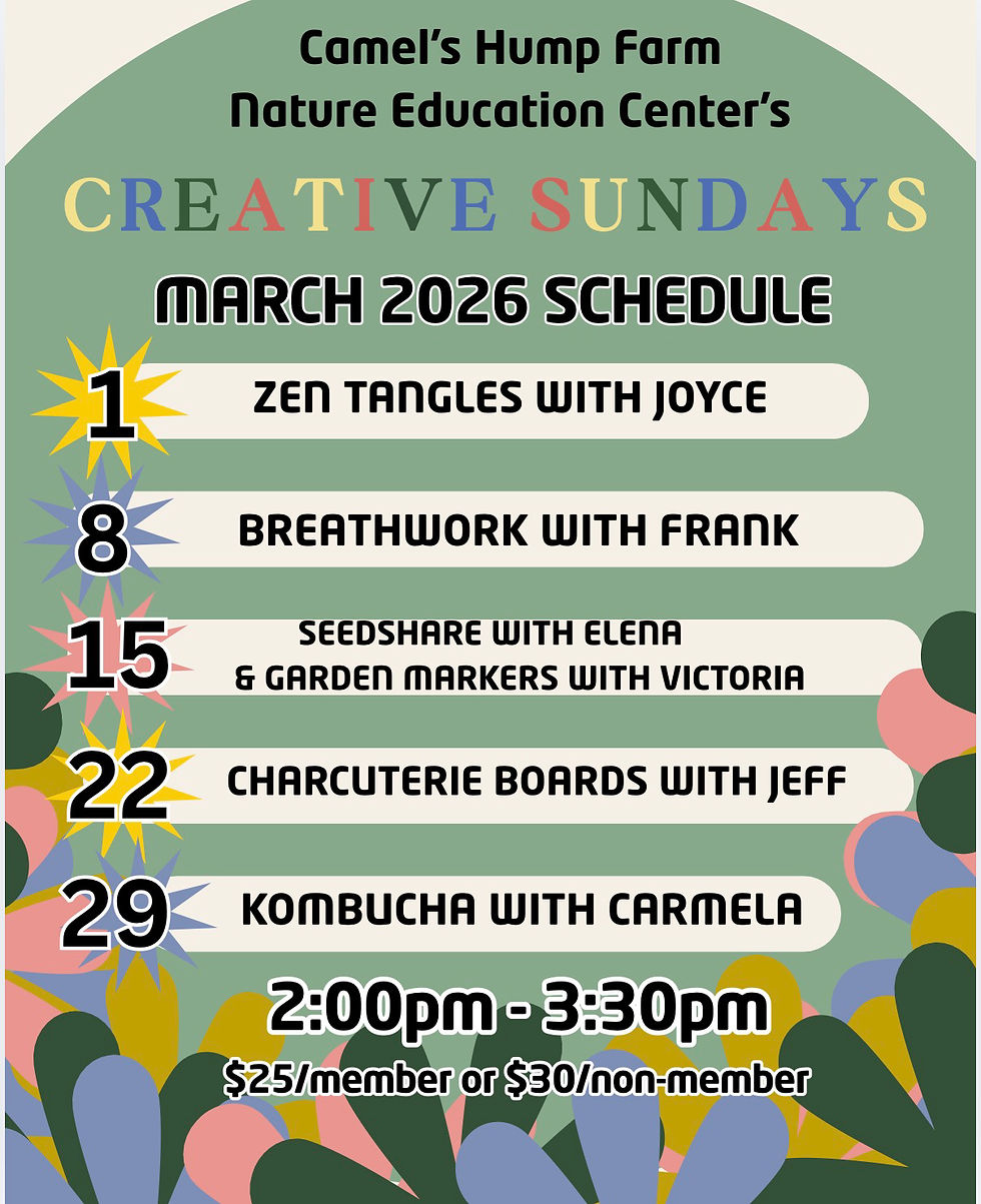 Creative Sundays - Seed Share