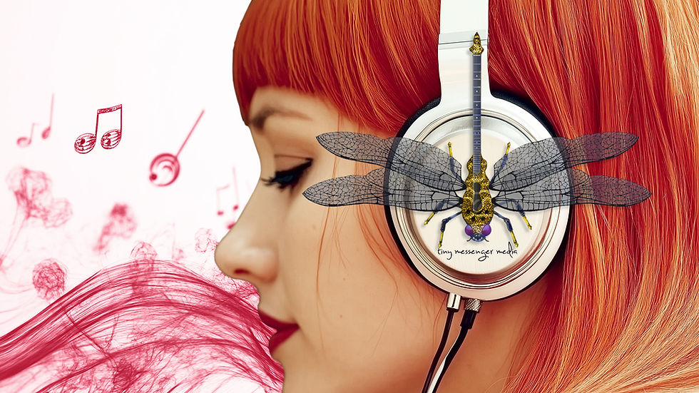 dragonfly2024 copy2a.jpg