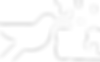 Pattern Grande Bianco_4x.png