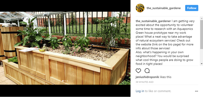 Aquaponics