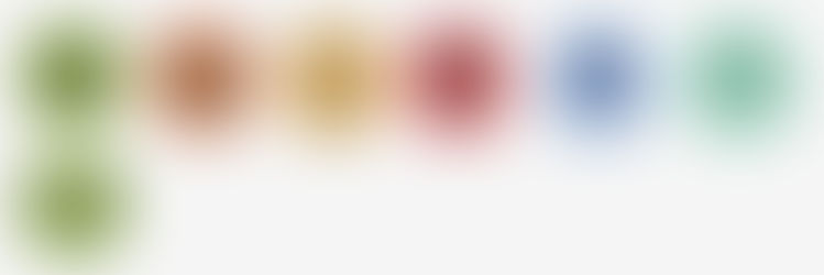 Weeks 7-8: Level 1 Asset Making