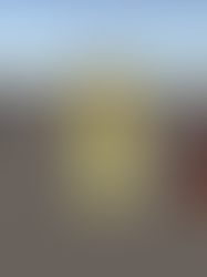 Week 9-10: Animation Integration Hell