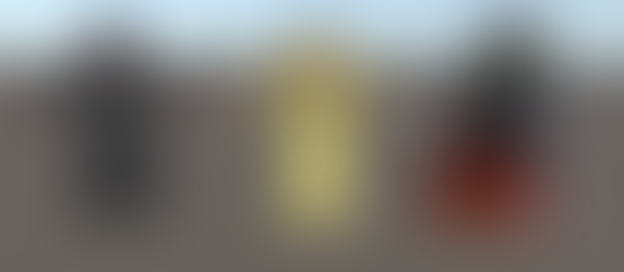 Week 9-10: Animation Integration Hell