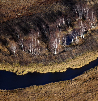 Aerial view of a tundra landscape