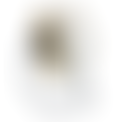 Exploring the Different Types of Poly Tubing and Their Best Uses