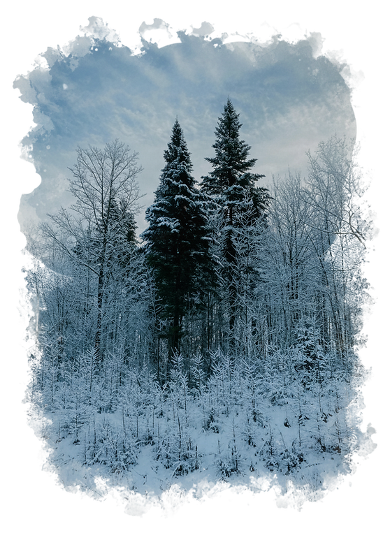 Survivre par temps froid ne s'apprend pas dans les livres mais sur le terrain.