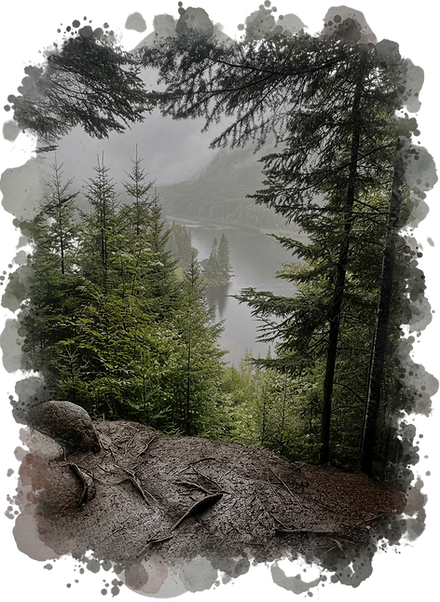 Survivre ne s'apprend pas dans les livres mais sur le terrain.