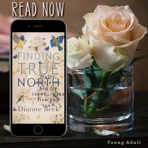 New Release for Young Adults: FINDING TRUE NORTH Book Blitz