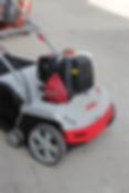 Triplice azione