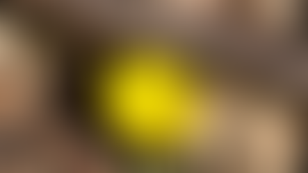 【blog】春の息吹