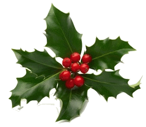 Mistletoe.gif