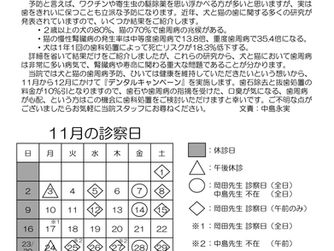 クリア通信　2025年10月号