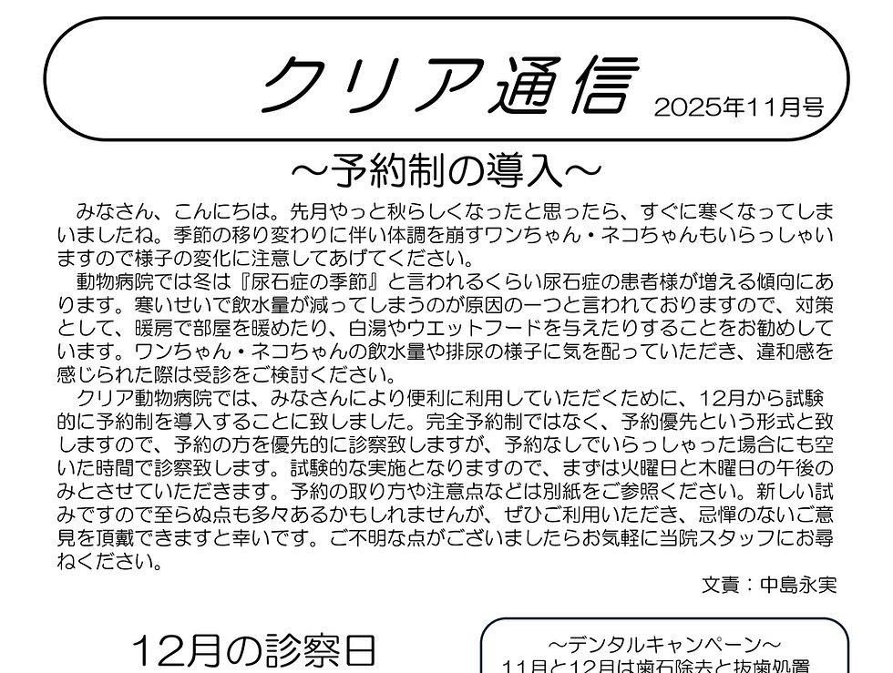 クリア通信　2025年11月号