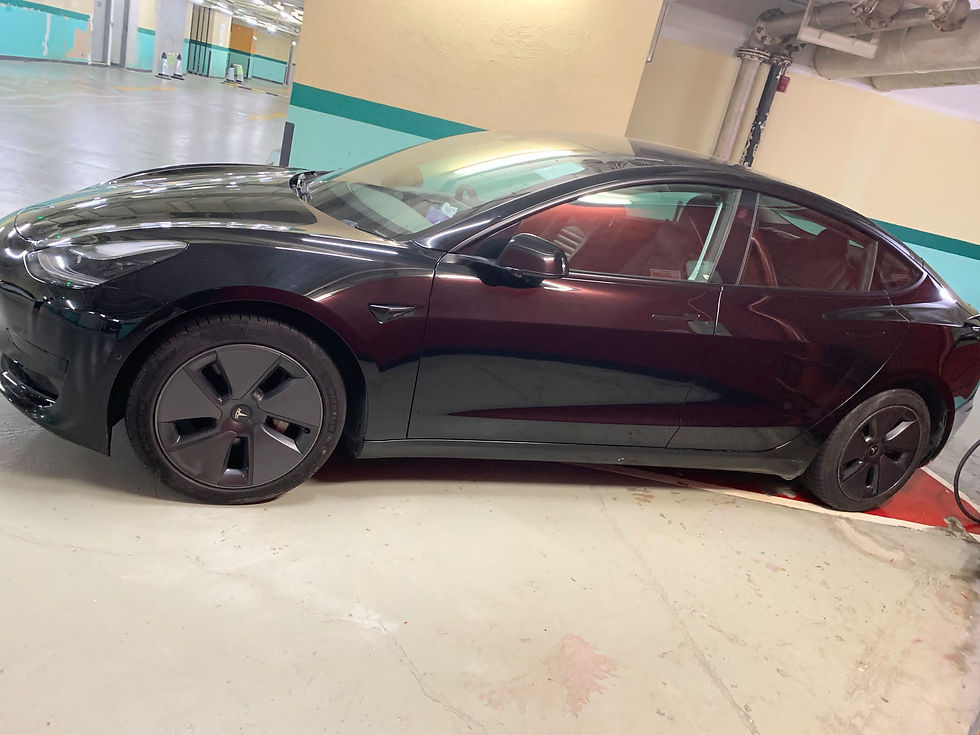 縮圖：2020 Tesla Model 3 SR