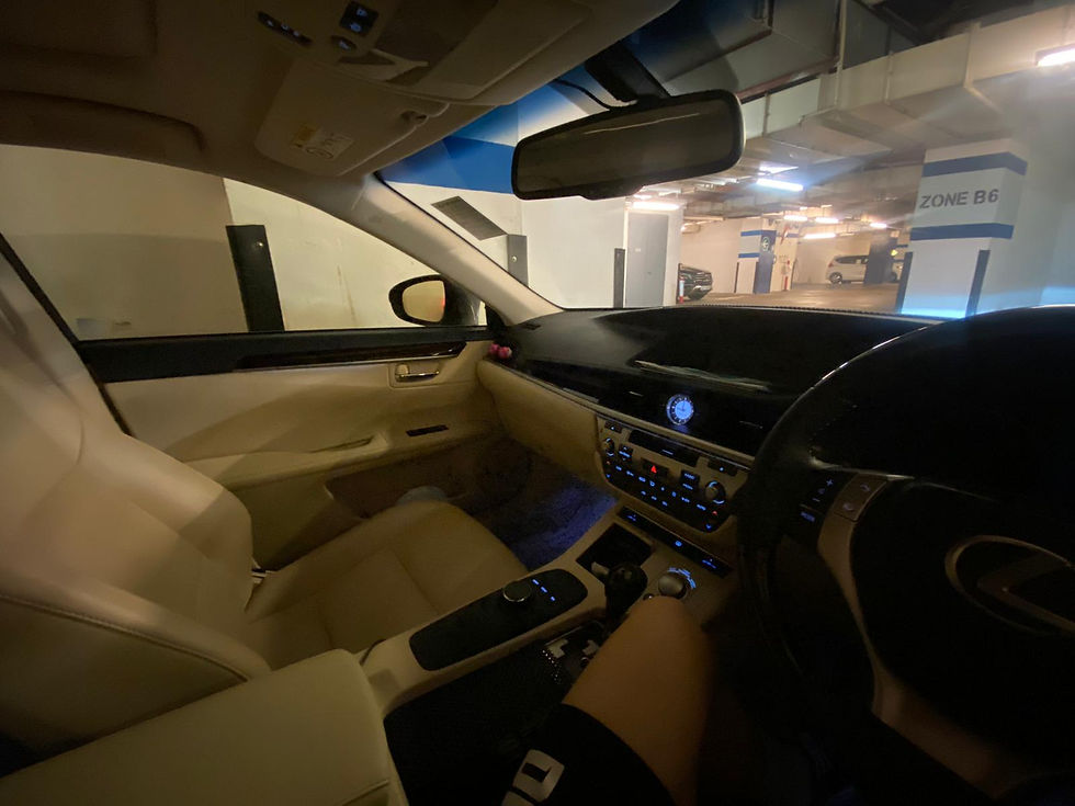 縮圖：2014 LEXUS ES250