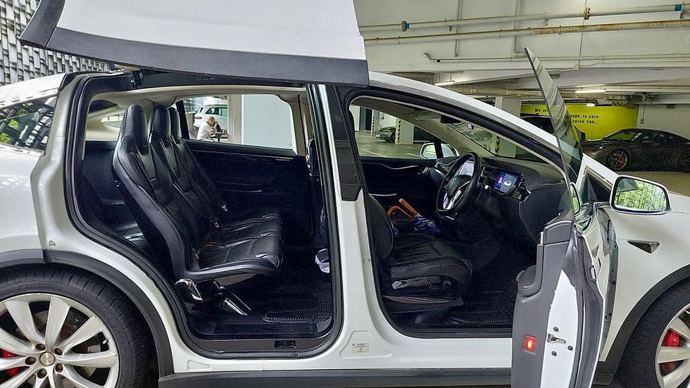 縮圖：2016 Tesla Model X P100D