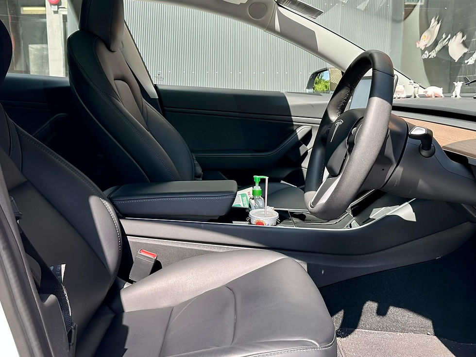 縮圖：2020 Tesla Model 3 Performance