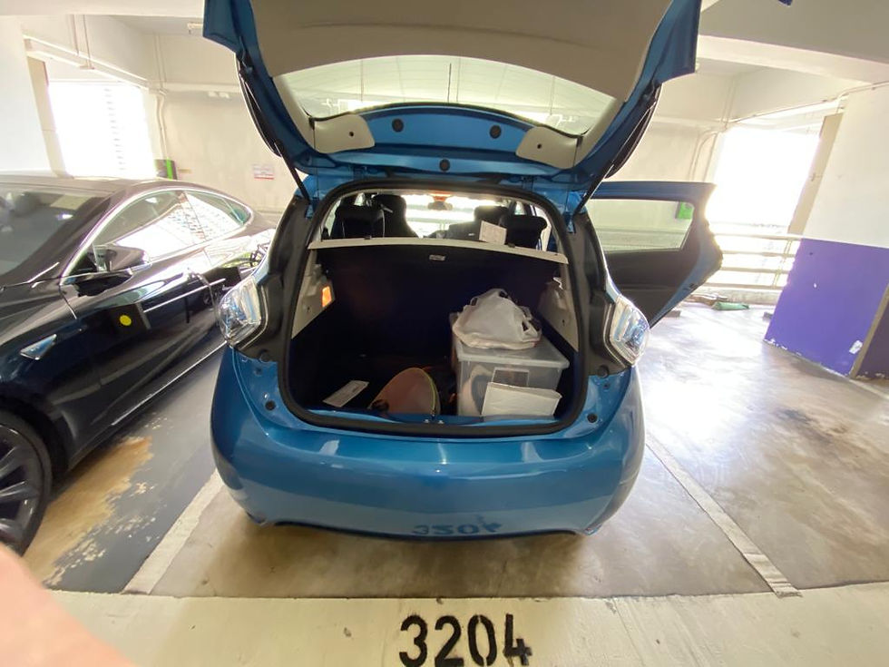 縮圖：2018 RENAULT ZOE