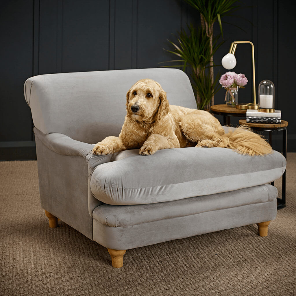 Plumpton Soft Velvet Grey Armchair