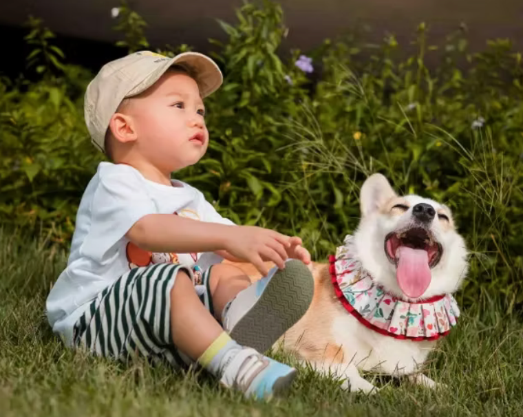 影家庭相邊間好