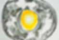 e%3J43ZHTIG2D4M8DrbH4g_thumb_1966.jpg