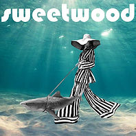 Sweetwood - One Of These Days Single Art